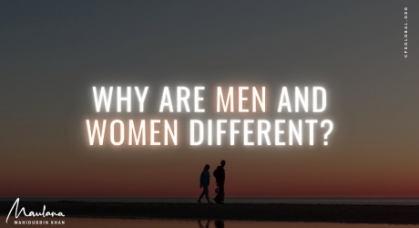 Embedded thumbnail for Why Are Men and Women Different?