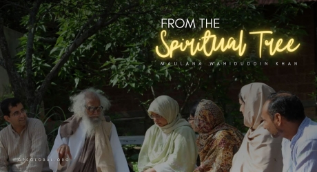 Embedded thumbnail for From the Spiritual Tree