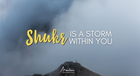 Embedded thumbnail for Shukr is a Storm Within You